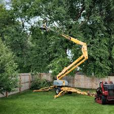 Artificial Turf Installation in Blacksburg, SC